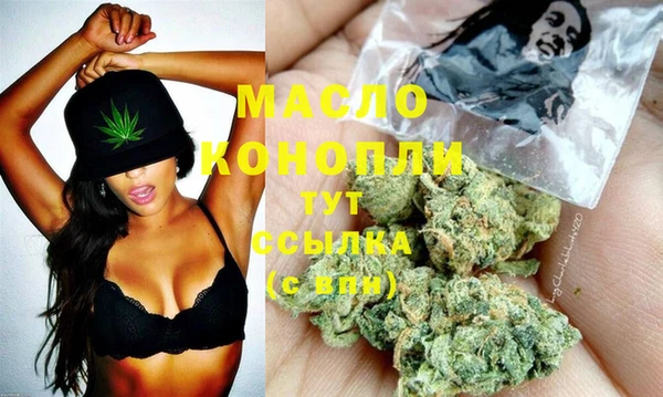индика Михайловка