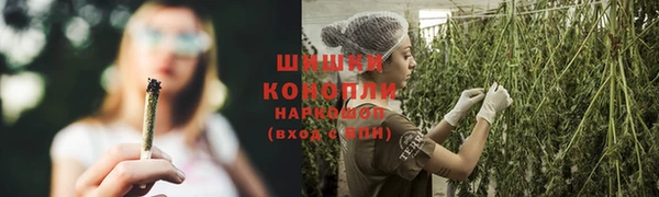 хмурый Михайловск