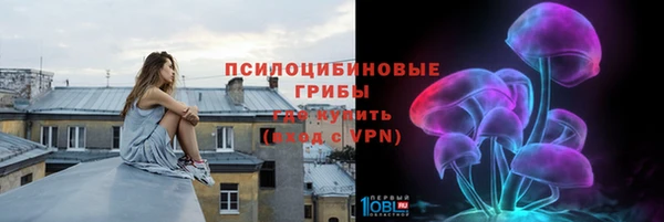 индика Михайловка