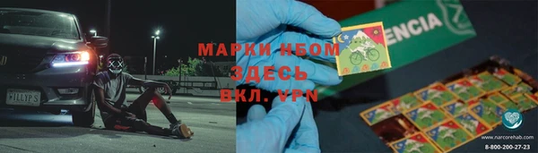 хмурый Михайловск