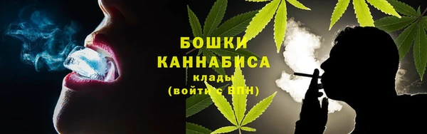 индика Михайловка