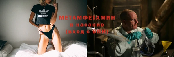 индика Михайловка