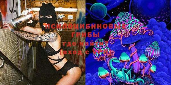 a pvp Михайлов
