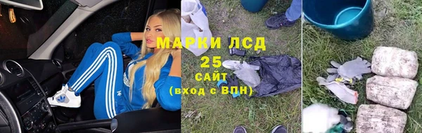 индика Михайловка