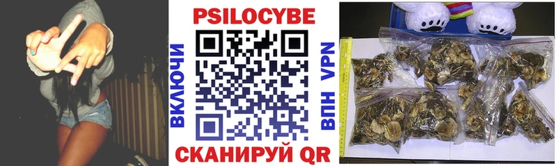 Псилоцибиновые грибы мухоморы  закладки  Пушкино 
