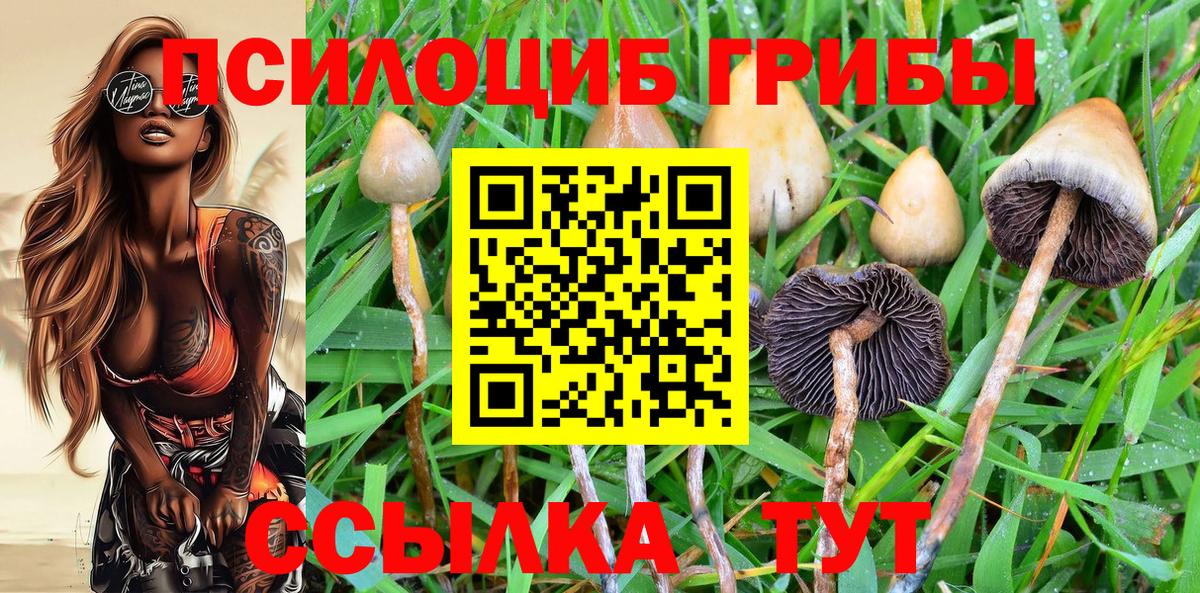Галлюциногенные грибы Psilocybine cubensis  Вход с VPN  Пушкино 
